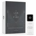 A Lab On Fire What We Do In Paris Is Secret