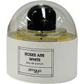 Zimaya Roses Are White