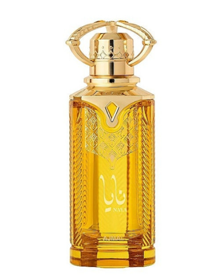 Ajmal Naya