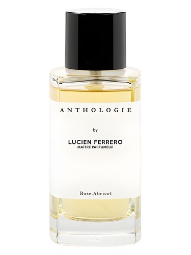 Anthologie Rose Abricot