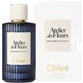 Chloe Atelier Des Fleurs Orchidee De Minuit