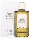 Chloe Atelier Des Fleurs Plage Du Figuier