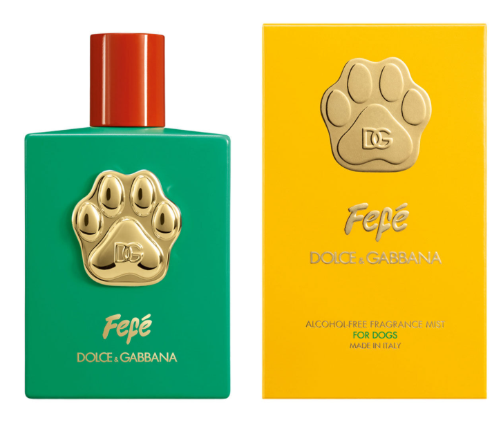 Dolce & Gabbana Fefe (For Dogs)