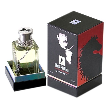 Eclectic Collections Black Stallion By Sergio Goyri