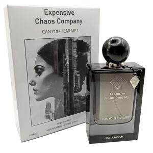 Expensive Chaos Company Can You Hear Me?