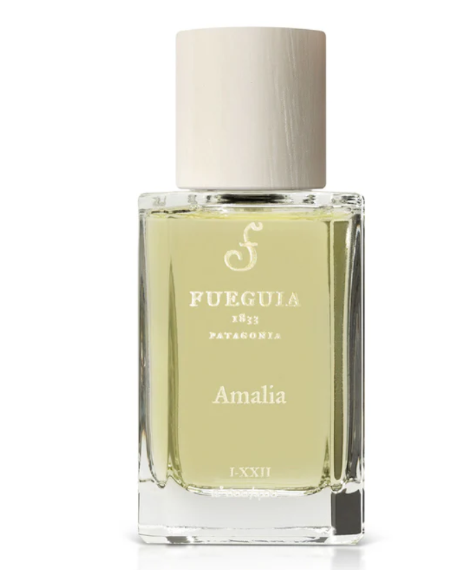 Fueguia 1833 Amalia