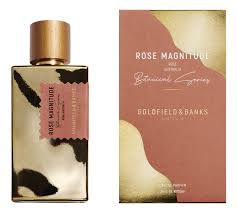 Goldfield & Banks Australia Rose Magnitude
