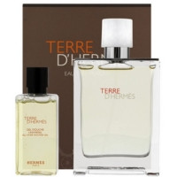Hermes Terre D`Hermes Set (Edt 100 Ml + S/G 80 Ml)