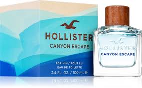 Hollister Hollister Canyon Escape Man