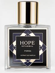 Hope Istanbul Forza