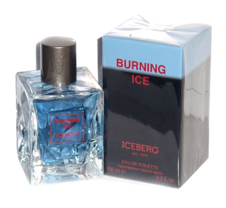 Iceberg Burning Ice