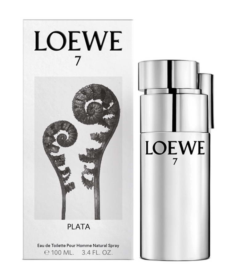 Loewe 7 Plata