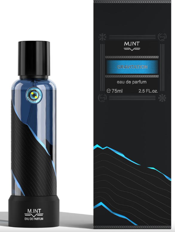 M.INT Gravitation