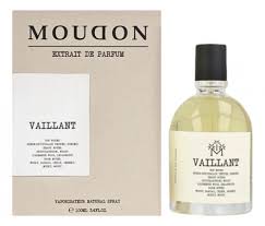 Moudon Vaillant Moudon