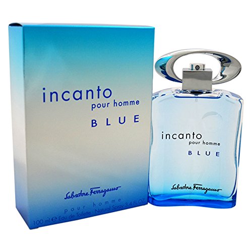 Salvatore Ferragamo Incanto Blue Pour Homme
