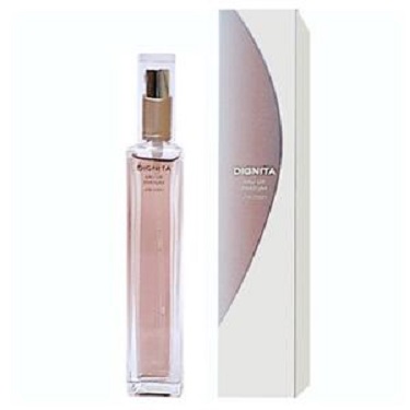 Shiseido Dignita Vintage