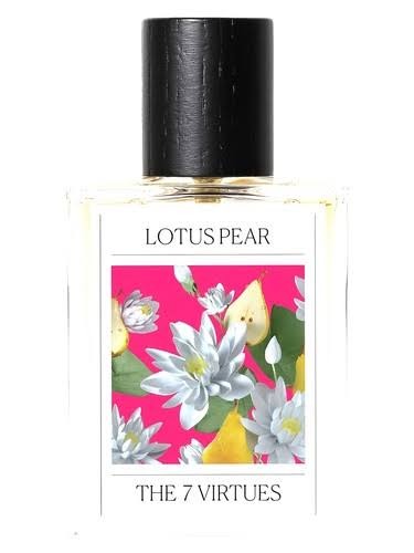 The 7 Virtues Lotus Pear